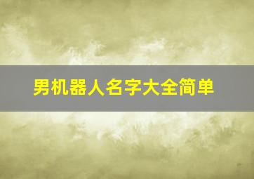 男机器人名字大全简单