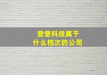 登堡科技属于什么档次的公司