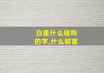 白是什么结构的字,什么部首