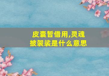 皮囊暂借用,灵魂披袈裟是什么意思