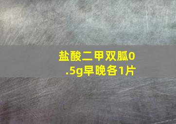 盐酸二甲双胍0.5g早晚各1片