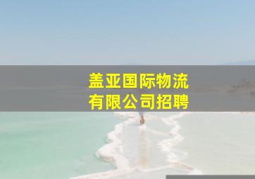 盖亚国际物流有限公司招聘