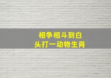 相争相斗到白头打一动物生肖