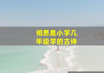 相思是小学几年级学的古诗