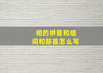 相的拼音和组词和部首怎么写