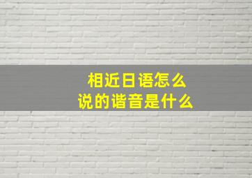 相近日语怎么说的谐音是什么