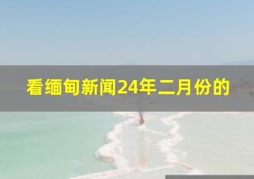 看缅甸新闻24年二月份的