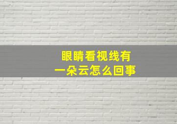 眼睛看视线有一朵云怎么回事