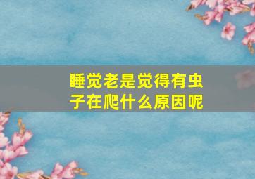 睡觉老是觉得有虫子在爬什么原因呢