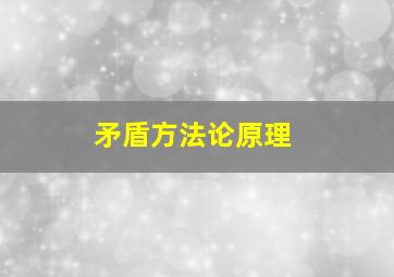 矛盾方法论原理