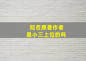 知否原著作者是小三上位的吗