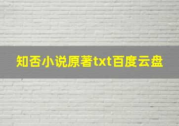 知否小说原著txt百度云盘