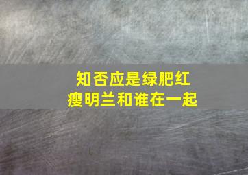 知否应是绿肥红瘦明兰和谁在一起