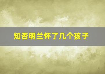 知否明兰怀了几个孩子