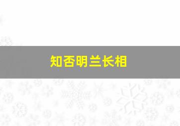 知否明兰长相