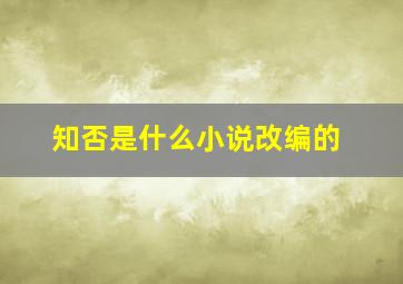 知否是什么小说改编的