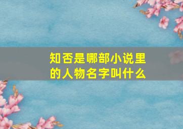 知否是哪部小说里的人物名字叫什么