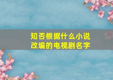 知否根据什么小说改编的电视剧名字