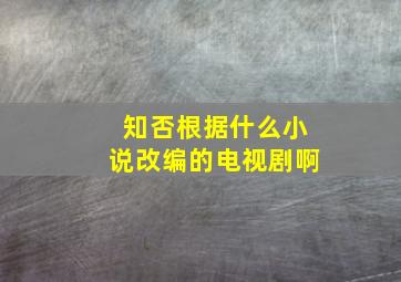 知否根据什么小说改编的电视剧啊