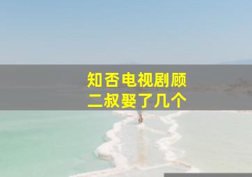 知否电视剧顾二叔娶了几个