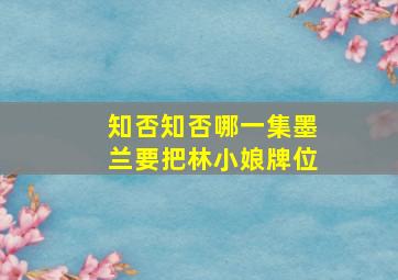 知否知否哪一集墨兰要把林小娘牌位