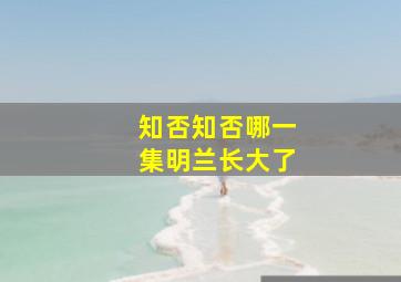 知否知否哪一集明兰长大了