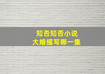 知否知否小说大婚描写哪一集