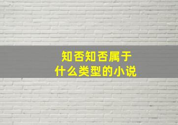 知否知否属于什么类型的小说