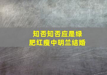 知否知否应是绿肥红瘦中明兰结婚