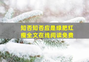 知否知否应是绿肥红瘦全文在线阅读免费