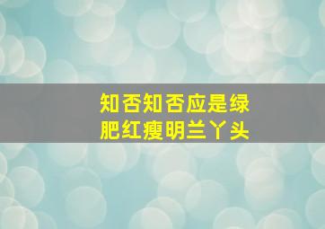 知否知否应是绿肥红瘦明兰丫头