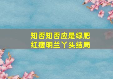 知否知否应是绿肥红瘦明兰丫头结局