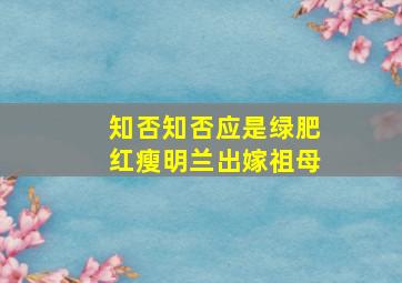 知否知否应是绿肥红瘦明兰出嫁祖母