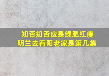 知否知否应是绿肥红瘦明兰去宥阳老家是第几集