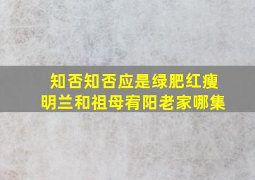 知否知否应是绿肥红瘦明兰和祖母宥阳老家哪集