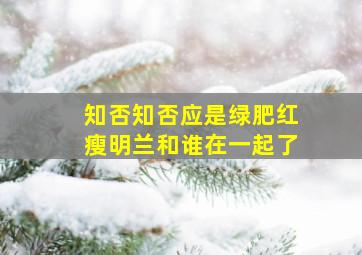 知否知否应是绿肥红瘦明兰和谁在一起了