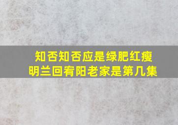 知否知否应是绿肥红瘦明兰回宥阳老家是第几集