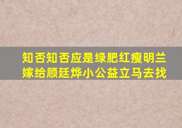 知否知否应是绿肥红瘦明兰嫁给顾廷烨小公益立马去找