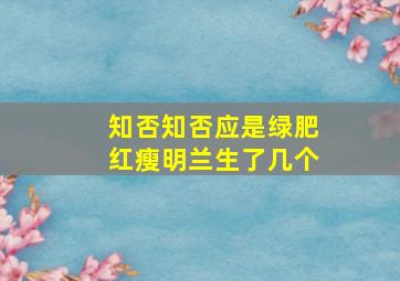 知否知否应是绿肥红瘦明兰生了几个