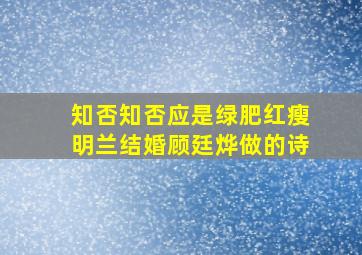 知否知否应是绿肥红瘦明兰结婚顾廷烨做的诗