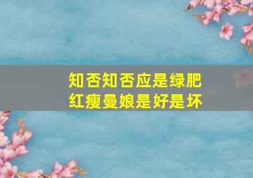 知否知否应是绿肥红瘦曼娘是好是坏