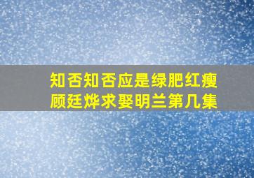 知否知否应是绿肥红瘦顾廷烨求娶明兰第几集