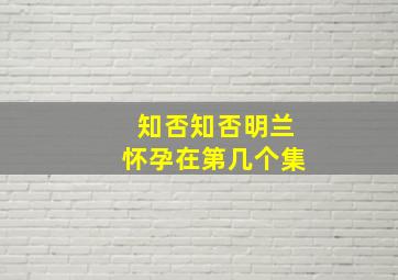 知否知否明兰怀孕在第几个集