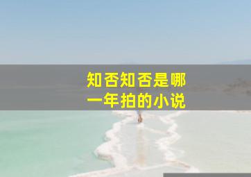 知否知否是哪一年拍的小说