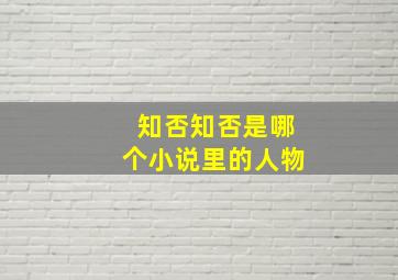 知否知否是哪个小说里的人物