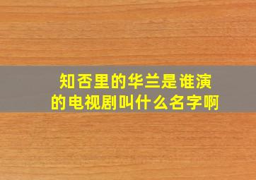 知否里的华兰是谁演的电视剧叫什么名字啊