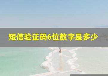 短信验证码6位数字是多少