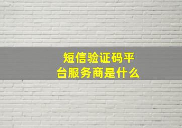 短信验证码平台服务商是什么