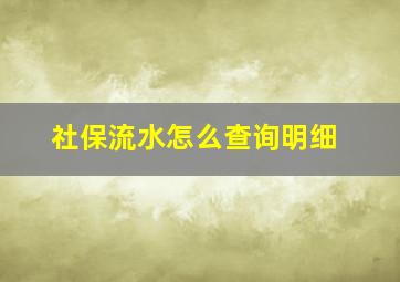 社保流水怎么查询明细