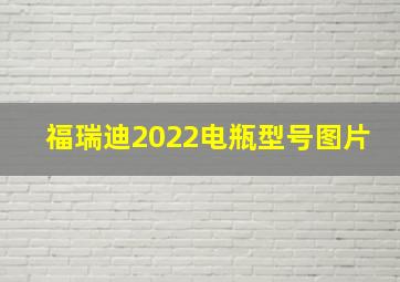 福瑞迪2022电瓶型号图片